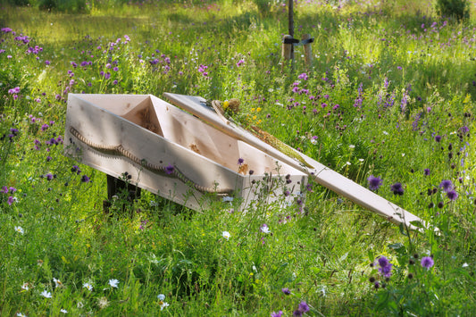 Natursarg Wattenwald